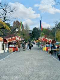 Ueno park in winter❄️