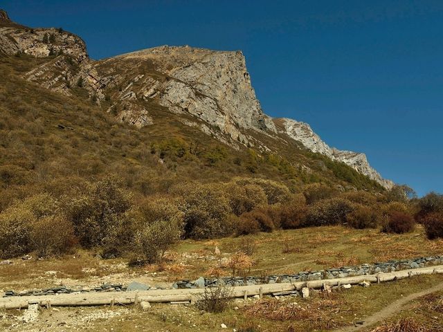 Best Autumn Viewing Experience 1/3 [Luorong Pasture, Yading Nature Reserve]