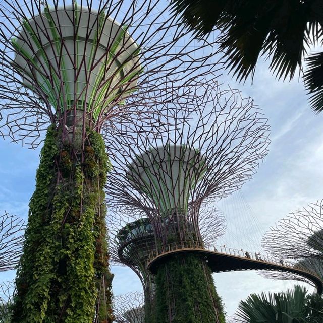 Jaw on the floor after Singapore 