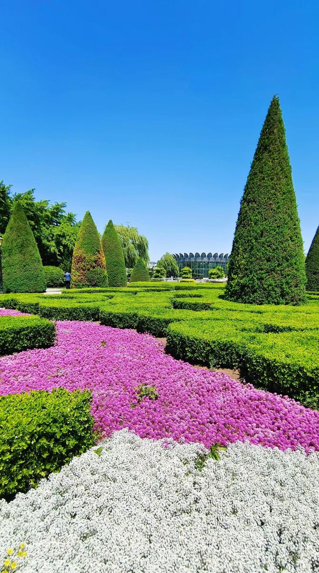 北京公園|美成油畫的世界花卉大觀園