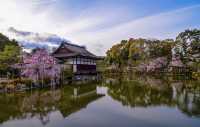 解鎖日本平安神宮：一場穿越時光的夢幻之旅