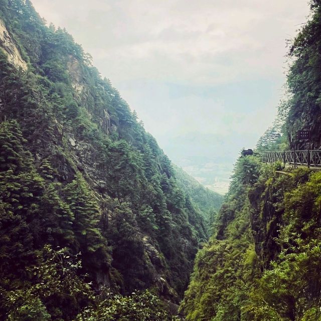 🏞️Escape and breathe on CangShan mountain🏕️ 