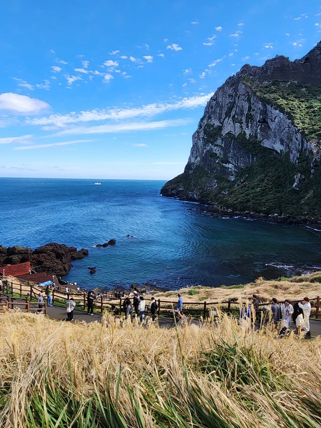 11月的濟州島 沒想到那麼美。