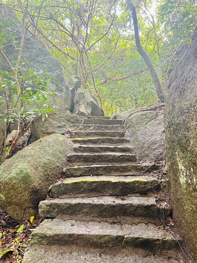 海南三亞-保亭-五指山5日遊 玩轉熱帶天堂必收藏