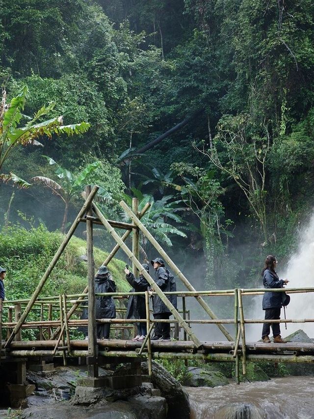 清邁輕鬆行山攻略：茵他儂兩條自然步道