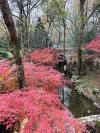 鐘山風景區