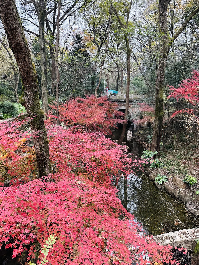 鐘山風景區