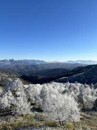 長野冬季限定｜在美原高原看雪景與星空