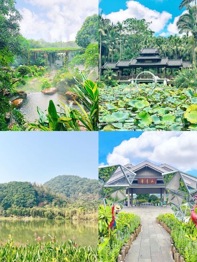 人生建議：去南寧，一定要留一天給青秀山