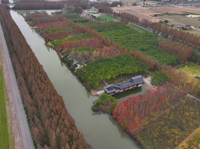 在長江岸邊擁抱自然忘記喧囂