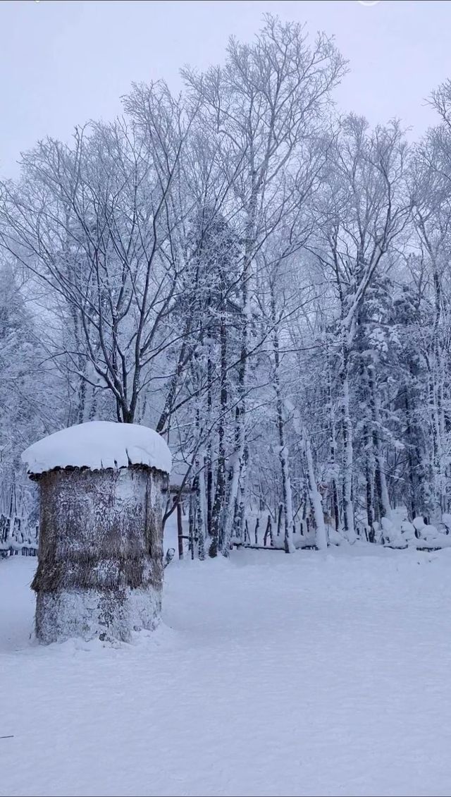 雪→_→冬季大自然的美→_→狗熊嶺遊玩