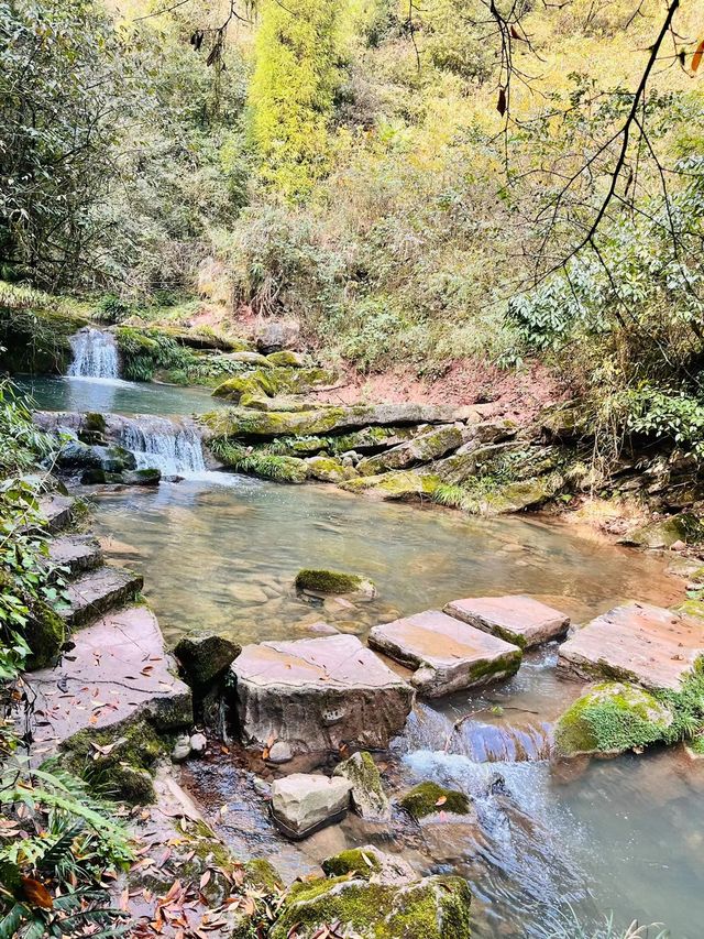 南寶山旅遊度假區｜探索自然秘境，享受寧靜時光