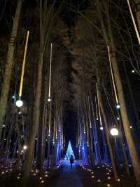 Karuizawa Highland Church Christmas Illumination is Absolutely Stunning!