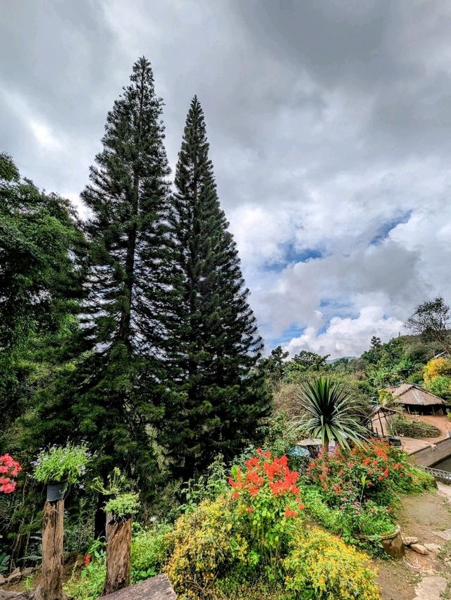 Doi Pui Waterfall: A Symphony in Nature's Heartbeat