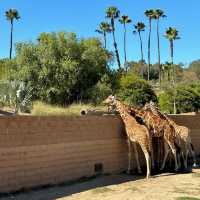 【馬來西亞國家動物園】近距離觀賞珍稀野生動物，獨一無二的體驗