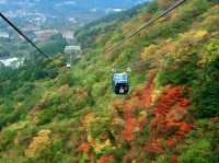 Experience the vibrant colors of fall in Hakone!