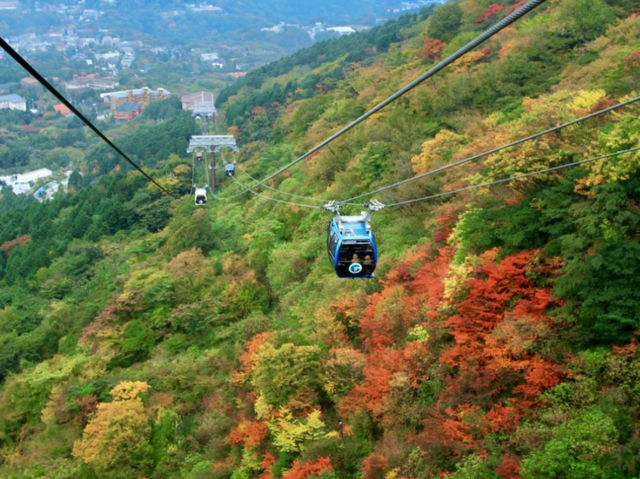 Experience the vibrant colors of fall in Hakone!