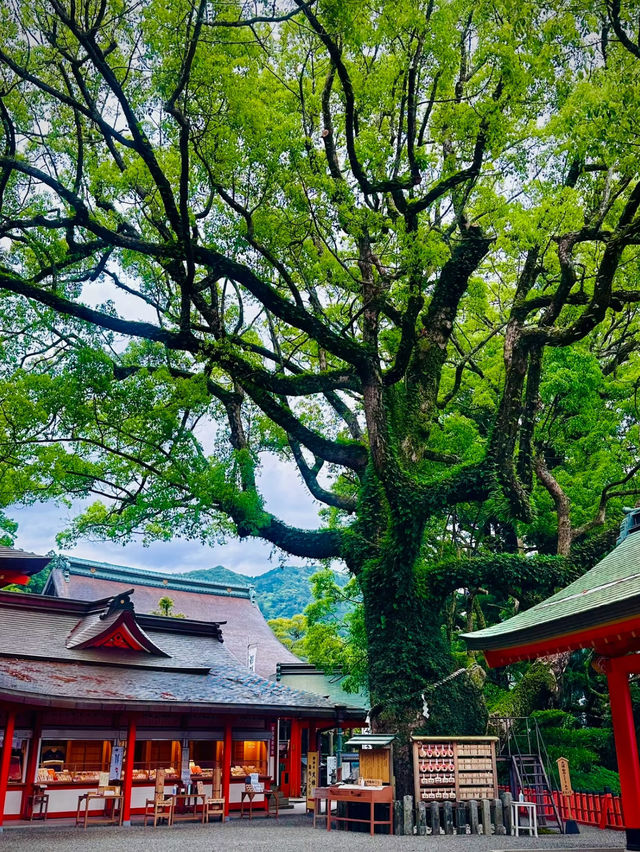 熊野那智大社⛩️美しい朱塗りの社殿は観ないと損✨数ある駐車場は何処を選ぶ⁉️駐車場マップ付き