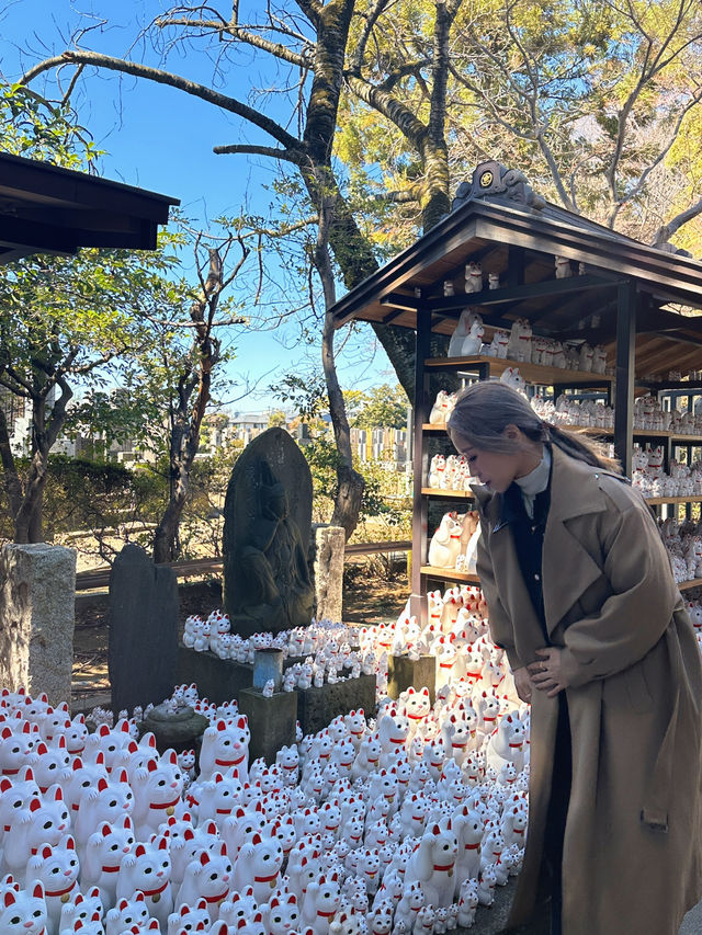 東京最可愛的招好運行程就在這