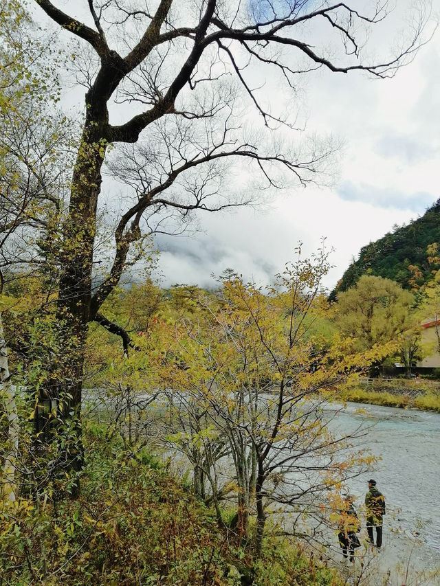 Kamikochi (คามิโคจิ)