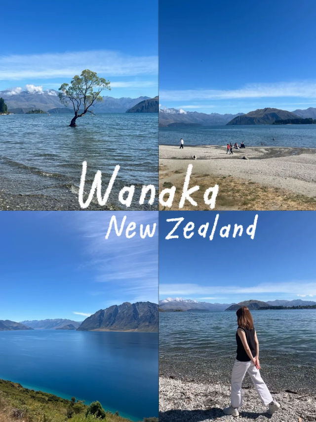 Wanaka 🌳 เมืองตากอากาศสุดชิลที่ต้องปักหมุด NZ