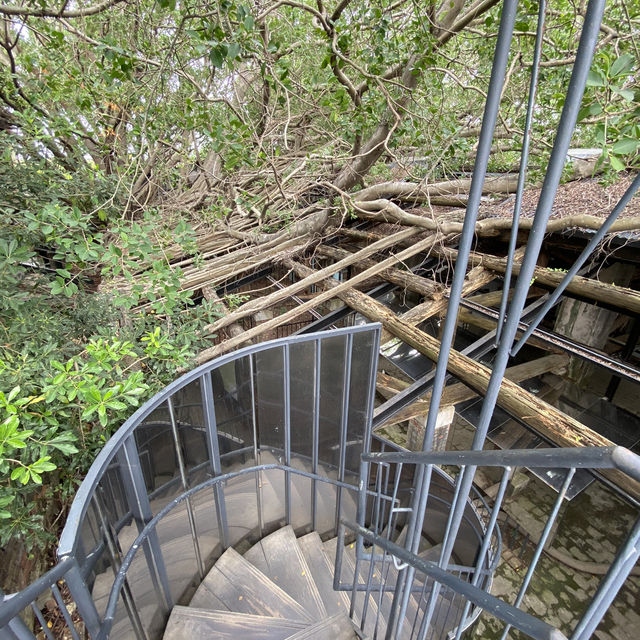 臺南｜第一次去台南必排景點-安平樹屋