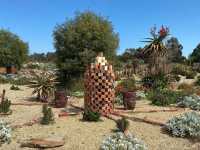 A Desert Oasis in Victoria: Exploring Cactus Country