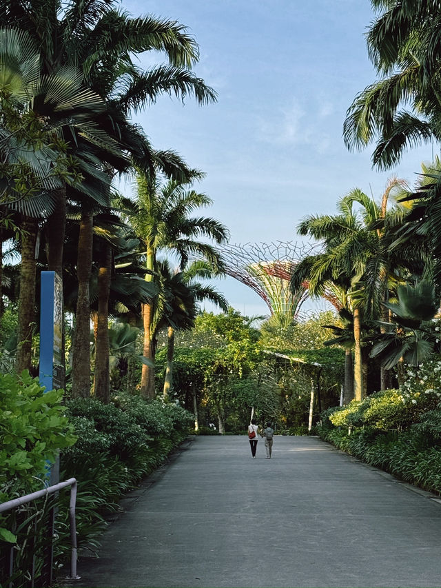 Gardens by the Bay สวนอนาคตแห่งสิงคโปร์