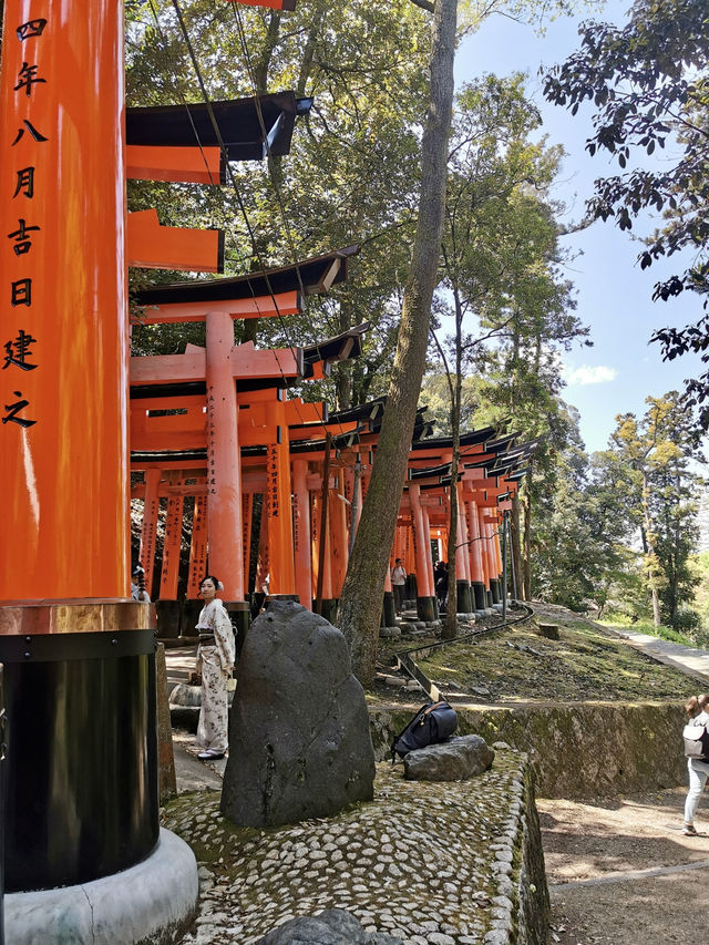 🇯🇵 From Temples to Sushi: A Journey Through Japan’s Must-See Spots and Flavors