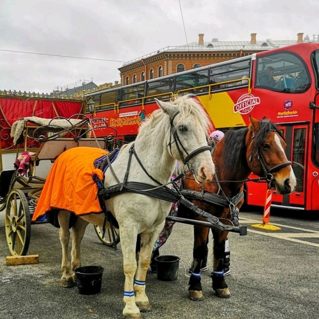 Unlocking the Charms of St. Petersburg