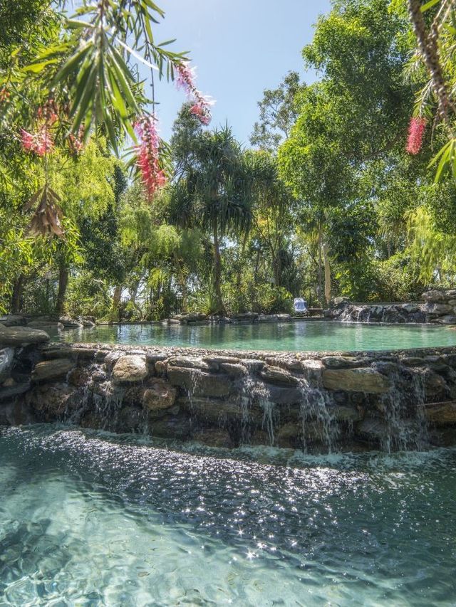 🌟 Queensland's Hidden Gem: Thala Beach Nature Reserve 🌴