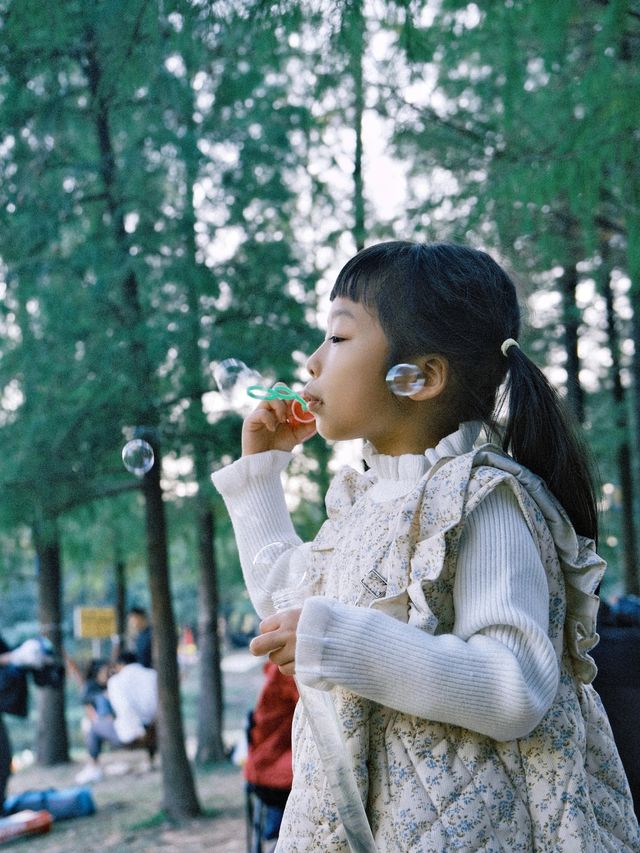 周末去哪兒|去大觀濕地公園定格秋日浪漫生活