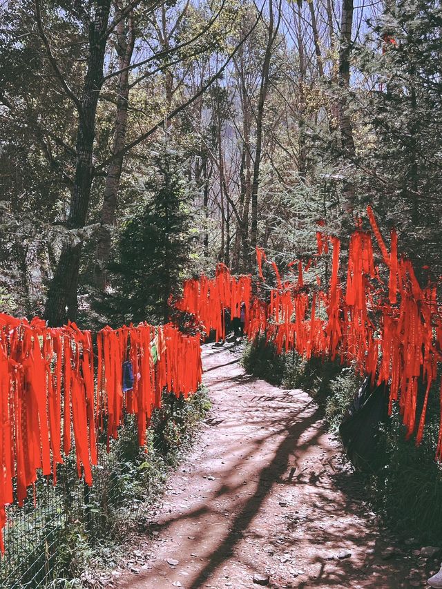 忻州2日遊｜冬天的美景等你來探索