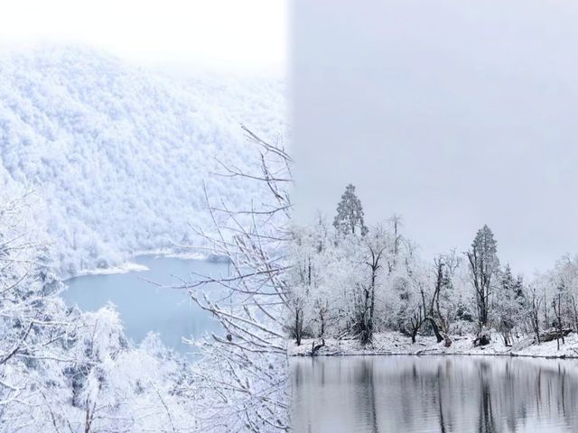 樂山峨邊杜鵑池徒步玩雪攻略