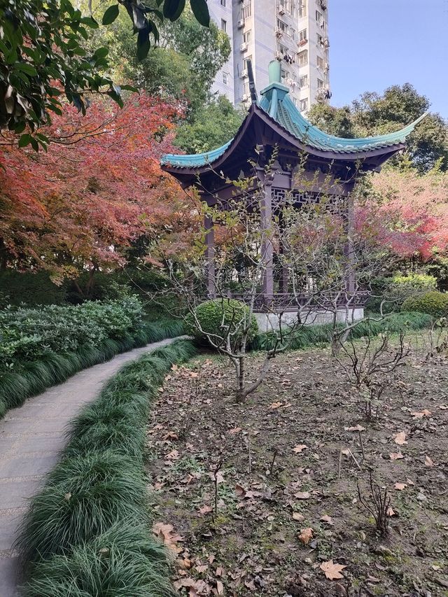 【城市漫遊】探索天山公園的無盡魅力