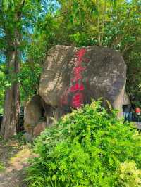 佘山國家森林公園