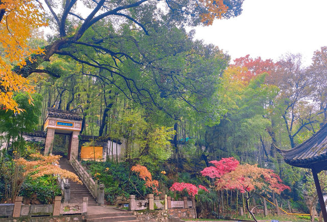 虞山｜那被寫進唐詩裏的「破山寺」——興福禪寺