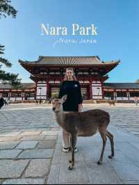 Nara Park Guide～ Day Trip from Kyoto 🦌🇯🇵