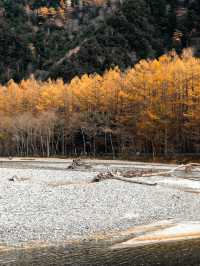 Lost in Kamikochi ในฤดูใบไม้เปลี่ยนสี🍁