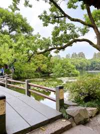 Three Pools Mirroring the Moon at Hangzhou's West Lake