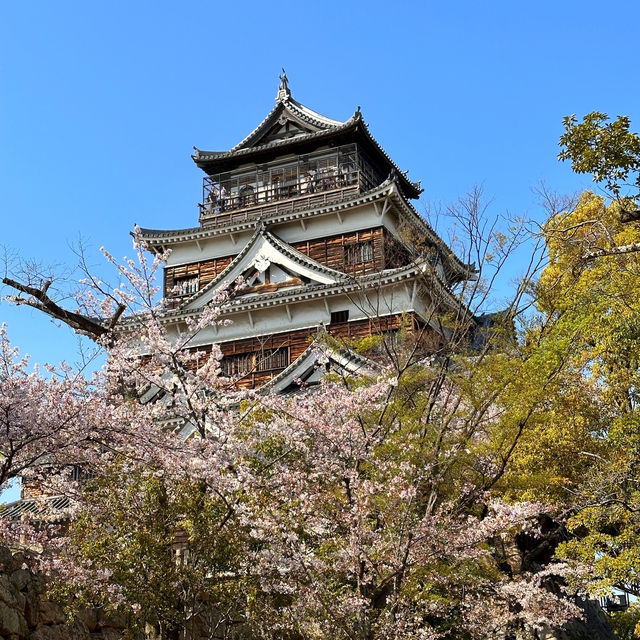 Exploring the Wonders of Hiroshima Castle!