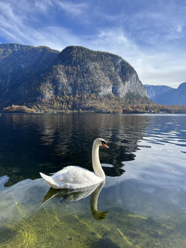 Day Trip to Hallstatt, Austria, Is it even enough?