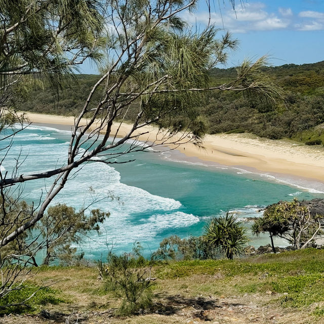 Experience the Allure of the Sunshine Coast, Australia