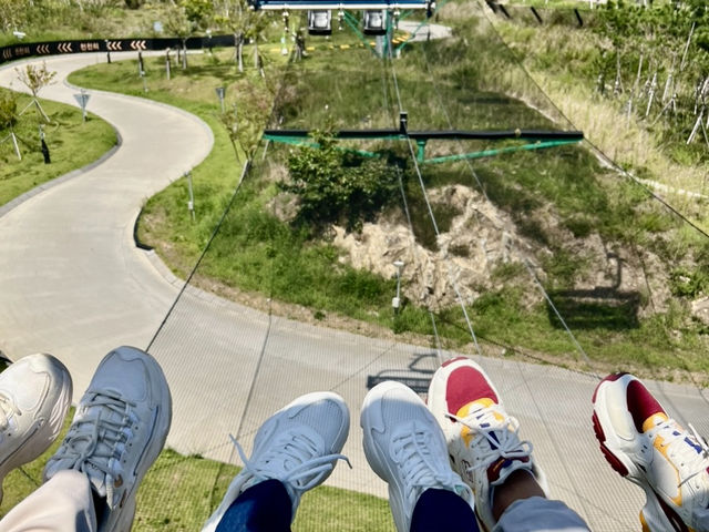 THRILLS AND CHILLS | SKYLINE LUGE BUSAN'S EPIC RIDE DOWN THE HILL