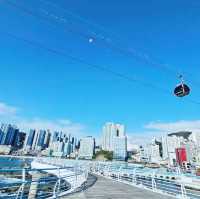 Breathtaking Views and Thrills at Songdo Yonggung Suspension Bridge 🇰🇷