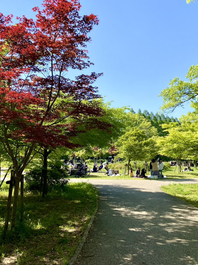 Osaka Castle: A Timeless Fortress in the Heart of the City