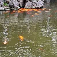 Yu Garden Shangai