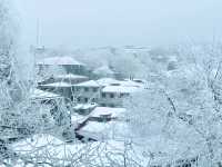 廬山雪景|這個冬天我們一起相約廬山看雪景