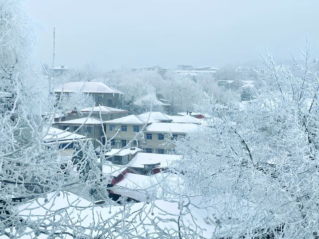 廬山雪景|這個冬天我們一起相約廬山看雪景