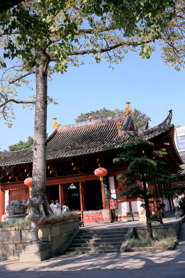 廣州寺廟打卡｜光孝寺